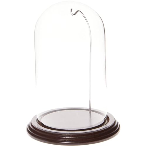 Plymor 4"x7" Watch/Ornament Glass Dome with Mahogany Base