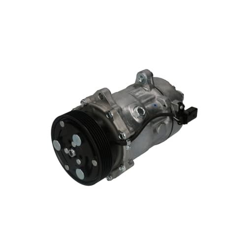 Bosch 1 986 AD1 005 Compressore Aria Condizionata Compressore Aria Condizionata Compressore Clima Compressore Condizionatore - 6