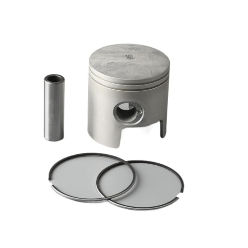 Pistons Moteur Hors-Bord 40 CV Référence 6F5-11636 pour Réalésage +0,50 mm
