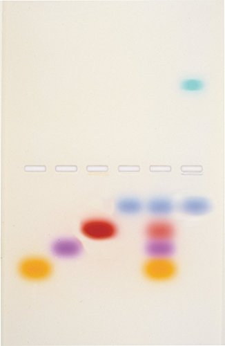 Edvotek 101 Principles and Practice of Agarose Gel Electrophoresis, for 8 Gels