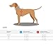 Hunter Hundegeschirr Love, Farbe: braun, weiches Rindsleder, atmungsaktive Mesh-Polsterung, Herz handgenäht, hoher Komfort, Made in Germany, Größe: XS-S