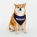 Cape Verde Flag Pet Scarf Washable Adjustable for Dogs Cat Pet