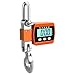 báscula colgante digital de 500 kg con pantalla LCD transparente Imagen de báscula colgante digital de 500 kg con pantalla LCD transparente