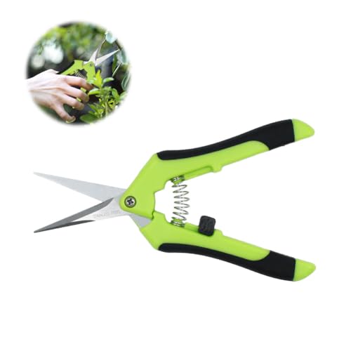 HAISHANG Professional Pruning Shears, Trimming Scissors Straight Tip, Gardening Hand Pruner Pruning Secateurs with Stainless Steel Blades, Garden Scissors for Fruit Branch Bonsai Flower Plants