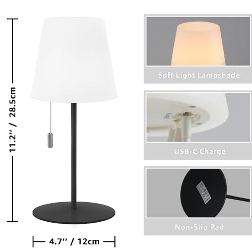 NiceBuy Lampada da Tavolo Senza Fili Ricaricabile
