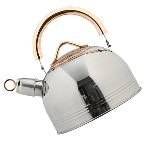 ULTECHNOVO 1 Pieza pava cafeteras jarra cafetera jarra para cafe cafetera moringa quemador teteras silbantes tetera humeante gas infusor tetera casera tetera de acero inoxidable Silver