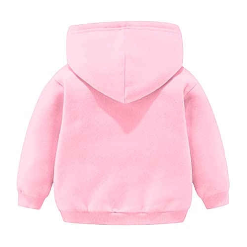 Betadog Toddler Boys Girls Winter Long Sleeve Hoodie Sweatshirt Kids Outwear Clothes Cartoon Dinosaurs Tops2