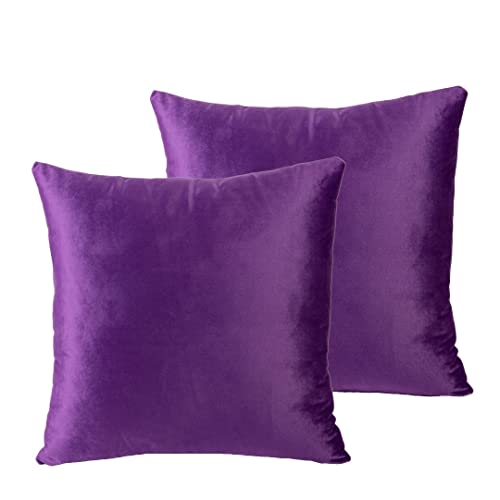 CUSHY HOME Pack of 2 Velvet Soft Decorative Square Throw Pillow Case Cushion Covers Pillowcases for Livingroom Sofa Bedroom with Invisible Zipper 45cm x 45cm 18x18 Inch Set of Two Purple