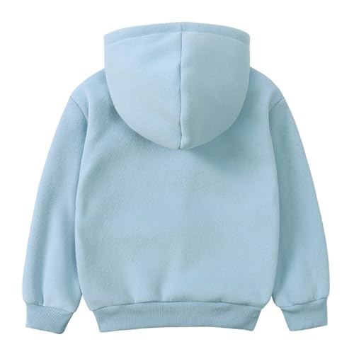 Moletom infantil com capuz forrado de lã, casual, com zíper, sólido, leve, outono, inverno, manga co