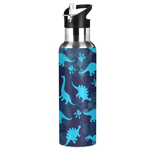 Qilmy Sport Water Bottle with Straw Lid Vacuum Insulated Stainless Steel Thermo Flask Dinosaur Water Bottle 20 oz