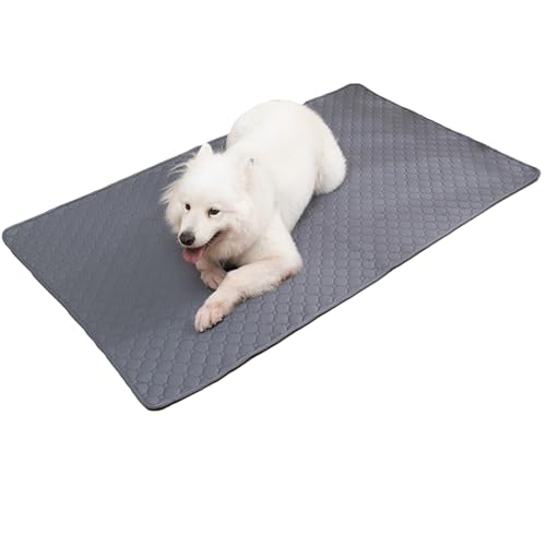 Image of BAMY 2 Pcs Washable Dog Pee Pads Absorbs Urine Pet Training Pads Non-Slip Waterproof Doggie Whelping Pad Reusable Dogs Mat Solid Brown Gray Blue Pink (Gray, M (28x20 inch))