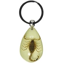 REALBUG Gold Scorpion Tear Drop Glow in The Dark Key Chain 5.3" x 7.7"