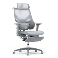 EastForce 日本ブランド LUMBIRT2.0360度アームレスト Amazon.co.jp: EastForce 日本ブランド MONSTER LUMBIRT2.0