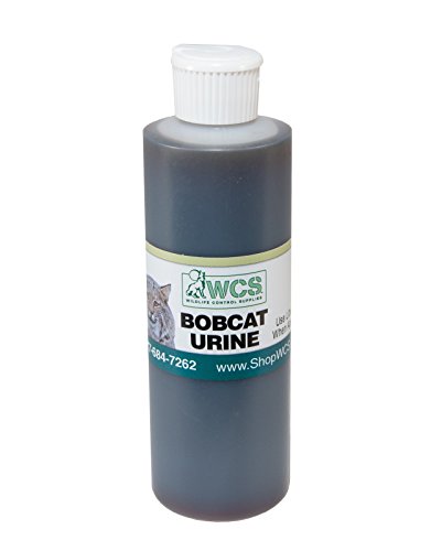 WCS Bobcat Urine - 8 oz