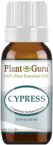 Cypress Essential Oil 10 ml 100% Pure Undiluted Therapeutic Grade