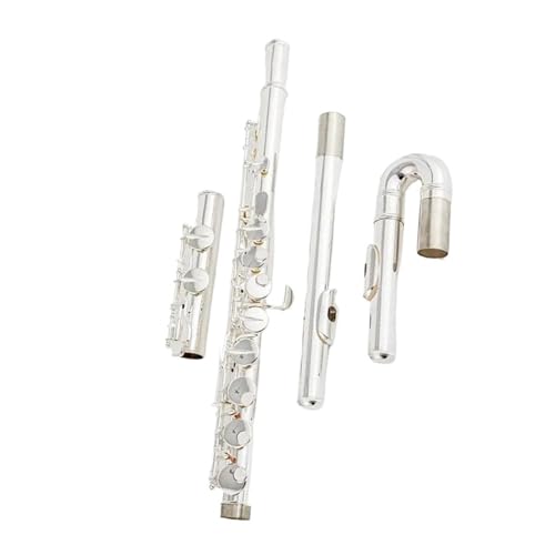 アルト フルート」の人気商品一覧 | 安い商品を通販サイトから探す