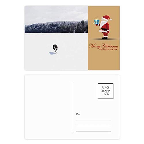 Cartes postales photo de Noël pour chien et chat, lot de 20 avec enveloppes