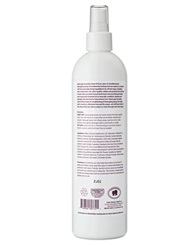 Salonlogic Everyday Leave-In Conditioning & Detangling Spray, Lavender - Clean & Pure, Salon Quality, Naturally Scented, Repairs Damaged Hair, Moisturizing Treatment, Safe For Color Treated Hair #TOP1