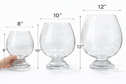 Image of Glass Fish Bowl /Terrarium Wine Cup Decorative Glass Aquarium for Home Decor Elegant Centerpiece for Living Room, Office & Balcony Ideal for Displaying Plants, Pebbles & Fish (10 Inch)
