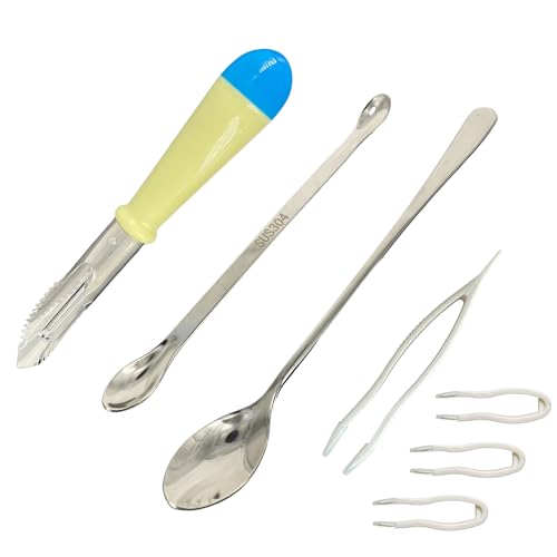 JuNpi JugV NK^ c  }bg ێr ێr JuNXv[ (Ȉ)