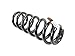 Mopar 68210972AA Coil Spring (Front) Ram