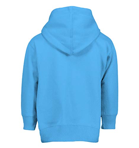 Haase Unlimited Boston - State Proud Strong Pride Toddler/Youth Fleece Hoodie3