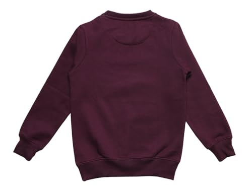 Image of Round Neck Fleece Sweat Shirt for Boy's