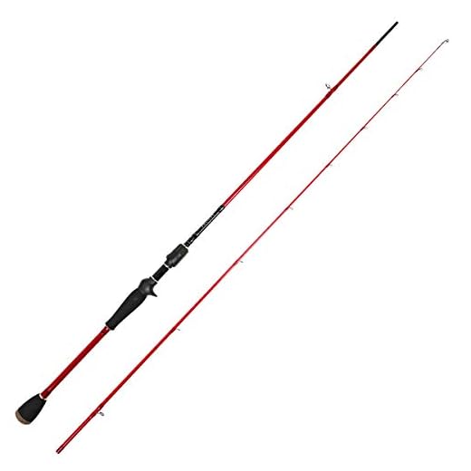 TAIRYO Baitcasting Fishing Rods Poles 2-Piece 7' MH, 24 Ton Carbon Fiber Rod with Durable Stainless Steel Guides for Travel Surf Saltwater Freshwater Bass Boat Fishing