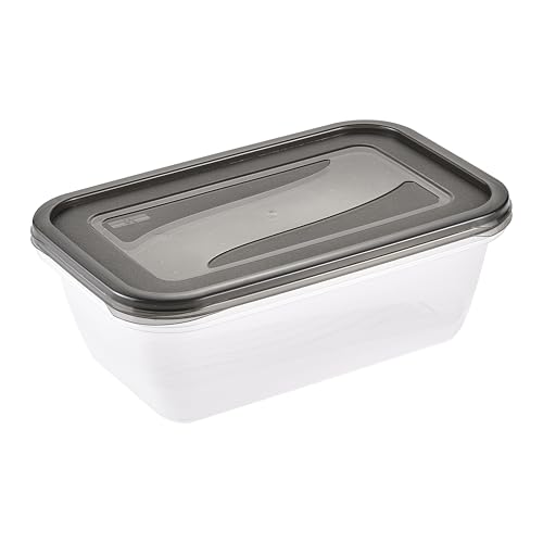 keeeper fredo fresh Frischhaltedosenset 2-teilig, 2 x 3,3 l, Crystal Grey (Transparent)