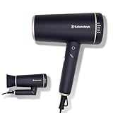 Onedam ワンダム ヘアドライヤー 海外対応 大風量 速乾 静音 コンパクト 軽量 マイナスイオン 温風冷風自動切り替え 静電気抑制 プラズマケア Wコートイオン BiB赤外線 SHD-501F (ブラック)