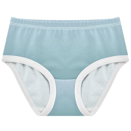 Joisal Fun Girls Underwear Toddler 2t Cotton Panties for Girl Elegant Blue Cadet Gradient Briefs Underpants