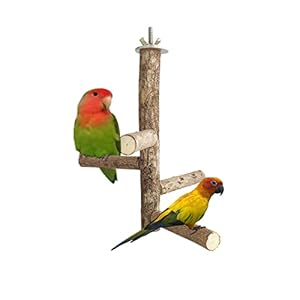 KSK 9” Natural Wood Bird Perch Stand, Hanging Multi Branch Toys for Parrots, Parakeets Cockatiels, Conures, Love Birds, Finches
