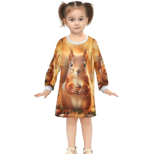 Cute Corgi Dog Fashion Girls Fall Sweater Dress 2t Girl Winter Clothes Long Sleeve Floral Dress for Girls3