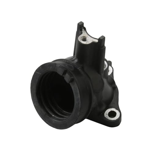 Collecteur d'admission pour GP1 250 et Rambla 250cc 300cc 4T 875694