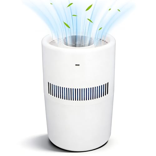 Humidificateur D'air 2-En-1 Avec Purificateur, 4l 5w Humidificateur D'air Pas De Réservoir D'eau Brouillard Siest Evaporative Humidificateurs Purificateur...