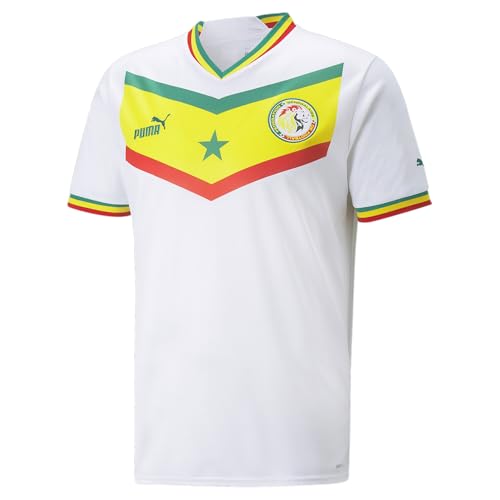 Puma Fsf Home Pull Réplique textile de football finitions premium