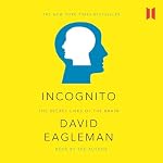 Cover of Incognito