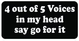3pcs 4 Out of 5 Voices Say Go for It Funny Hard Hat/Helmet Vinyl Decal Sticker