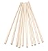 Wooden Dowel or branch