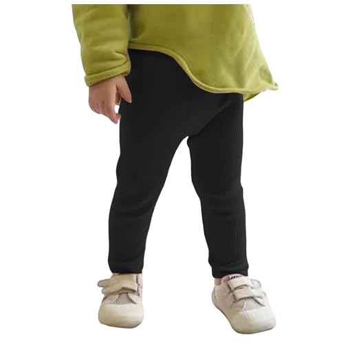 [Shopyruder] MX LbY ̎q 10 ~ ^Cc N  Xpbc xr[ g {A RR h q Opc Ԃ Xgb` n ʉ ʊw  Y{  X r  ۈ