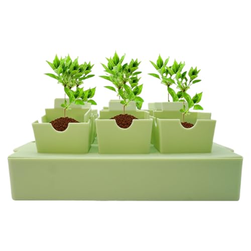 Bandejas de Semillero - Mini Invernadero Kit Germinacion - Suministros de Cultivo para Invernadero y Jardinería para Propagación | Cultivo De Parterres Florales Trasplante Preparación