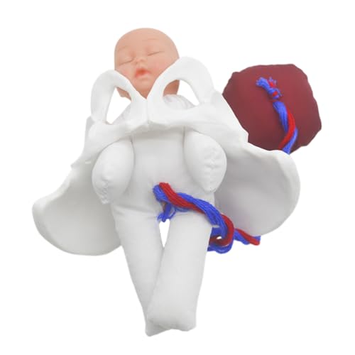 Modèle de bassin féminin simulation de naissance réaliste pour formation