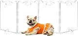 Clear Acrylic Freestanding Dog Gates, 4 Panel - 80''W x 24''H | with Upgraded Hinges & Stable Support Feet for Indoor Doorways, Stairs and Halls, Foldable Pet Gate for Small Dogs Cats