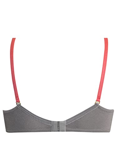 Image of Dazzle 513 Padded Bra for Women's Grey