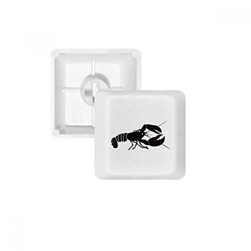 Keycaps PBT anti-usure pour clavier mécanique - Motif crevettes OEM