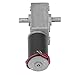 DC Gear Motor, 12V SelfLocking Reversible SlowHeating Micro Worm Gear Motor for Industrial Use (60RPM)