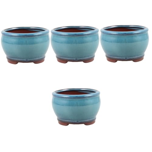 BESPORTBLE 4 Piezas Planta Suculenta En Maceta De Espárragos Maceta De Cactus Balcón para Plantas Suculentas De Bonsai Decorativa De Escritorio Arcilla Morada