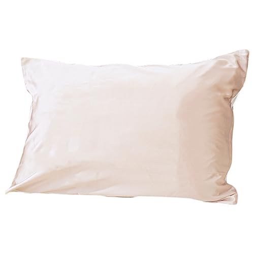 VN Jo[ yʂ͖100ŐQԂ肵ĂYɂIz Ж VN 100 43×63cm sN t@Xi[ n  100 VN100 􂦂