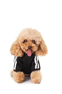 Dog Hoodie, Dog Clothes Sweater Dog Jumpsuit Fleece Sweatshirt Dog Outfit Dog Winter Clothes Cotton Puppy Hoodies for Small Medium Large Dogs Cats Apparel