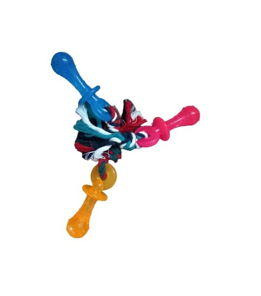 Dog Trust Durable Rubber Nipple Puppy Toy, Rubber Dental Chew Toy for Small and Medium Dog Puppy (Color May Vary, Pack of One) (B0BVG6FQGX) Amazon Price History, Amazon Price Tracker